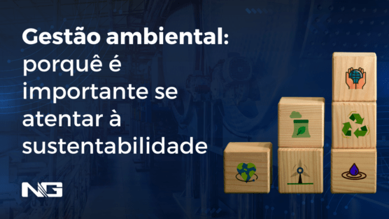 Gestão ambiental: porquê é importante se atentar à sustentabilidade