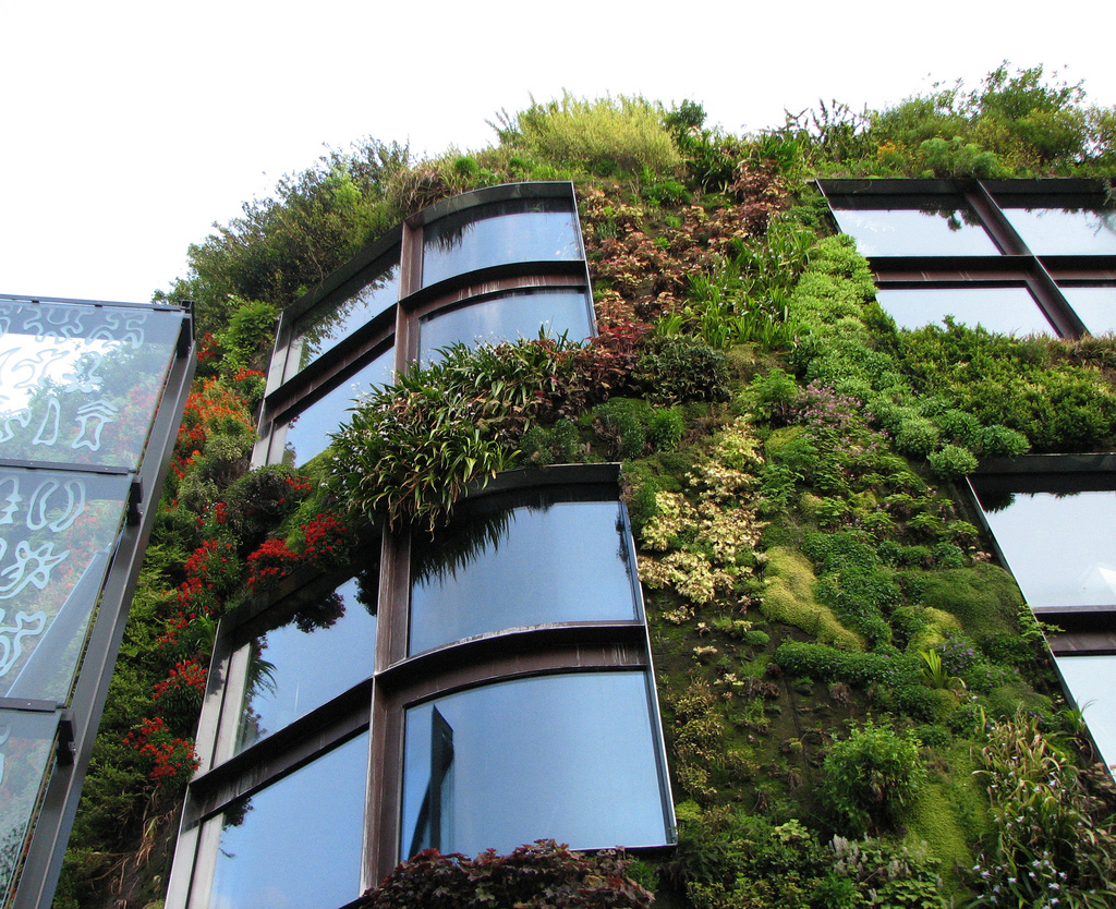Certificação de sustentabilidade é diferencial na venda de imóveis